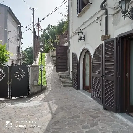 L'antico Castagneto