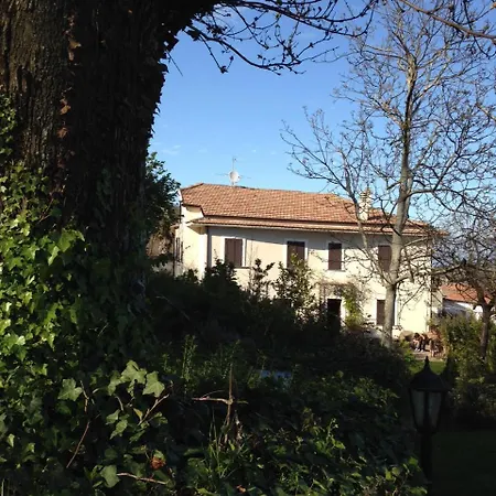 L'antico Castagneto Roccamonfina