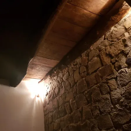 L'antico Castagneto Roccamonfina