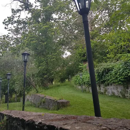 L'antico Castagneto *
