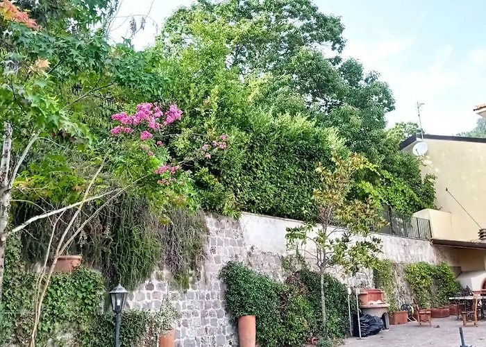 L'antico Castagneto * Roccamonfina