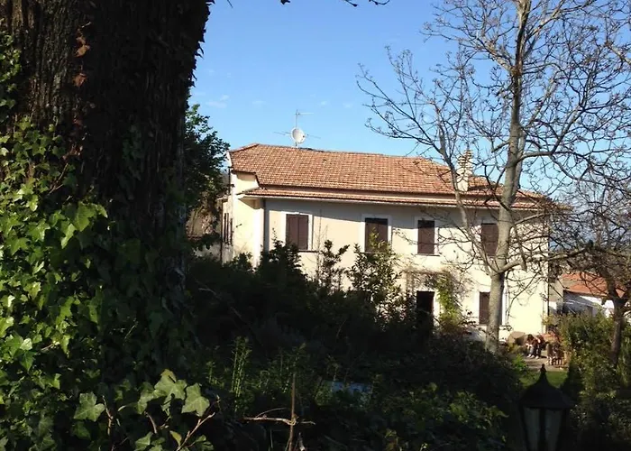 L'antico Castagneto Roccamonfina