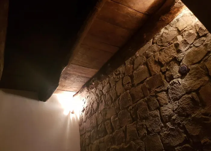 L'antico Castagneto Roccamonfina